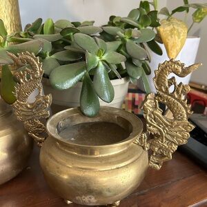 Elegant Gold Dragon Incense Burner (Brass Dragon Bowl)